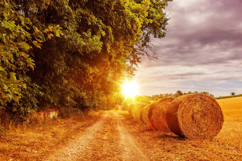 hay delivery hot shot